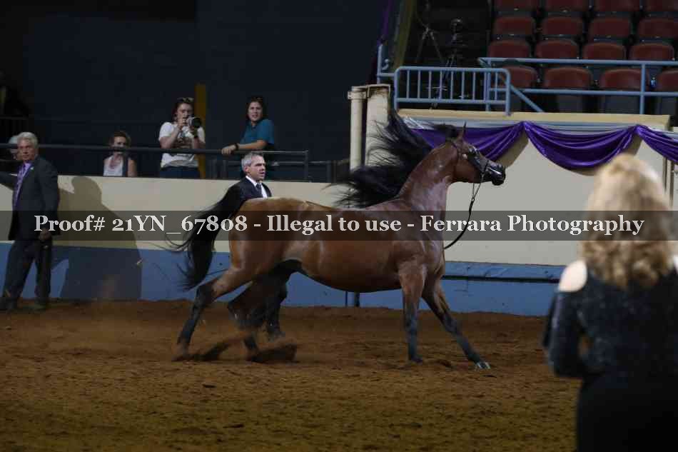 Proof 21YN_67808