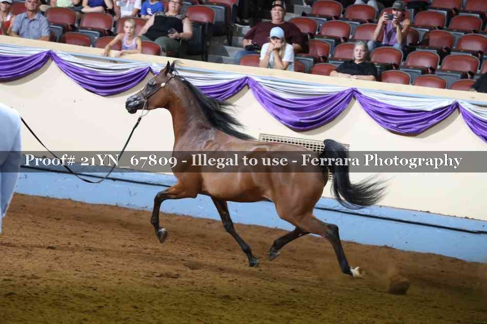 Proof 21YN_67809