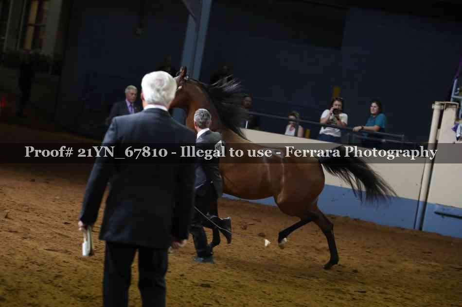Proof 21YN_67810