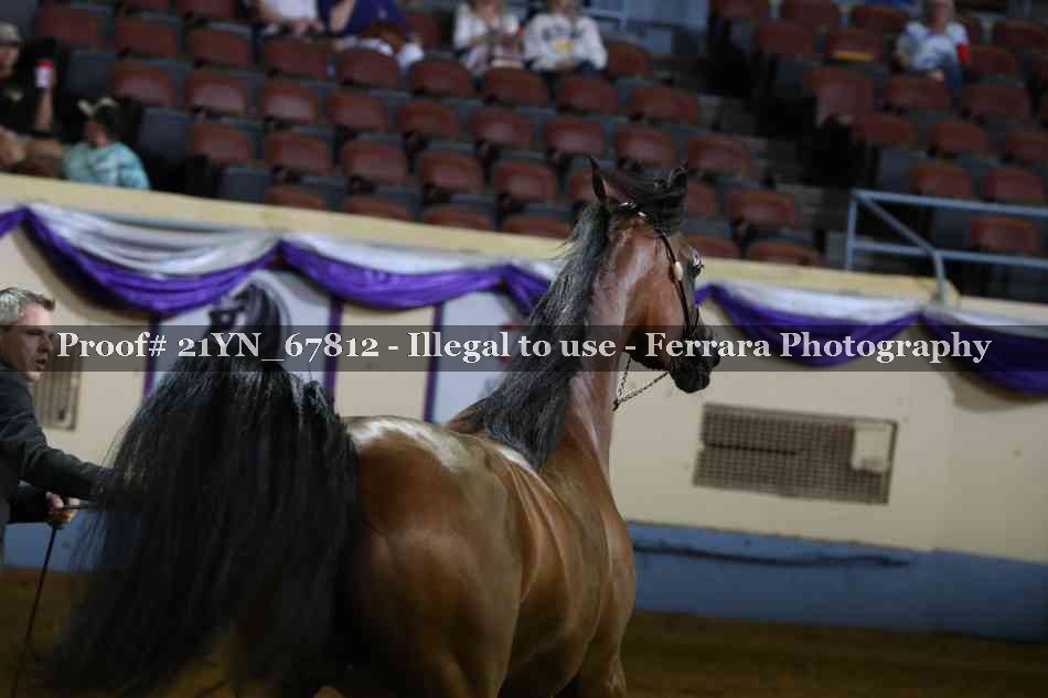 Proof 21YN_67812