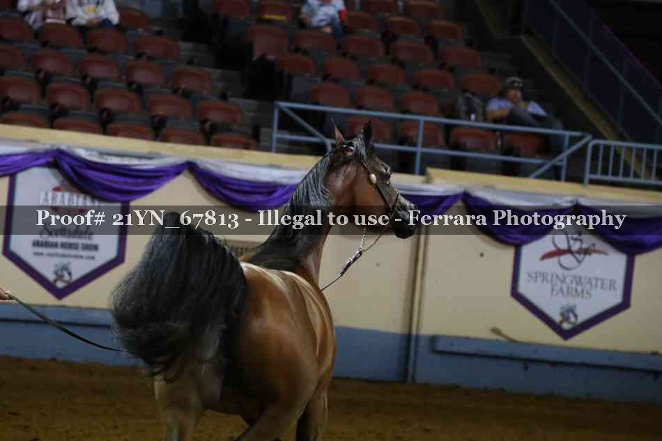 Proof 21YN_67813