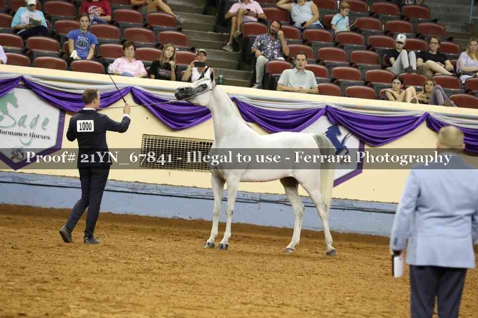 Proof 21YN_67841