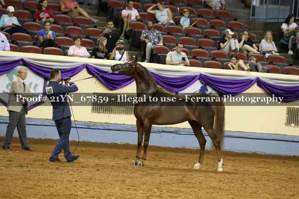 Proof 21YN_67859