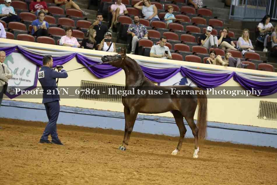 Proof 21YN_67861