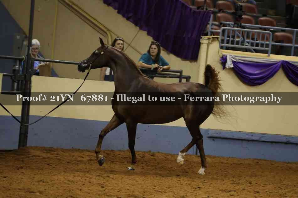 Proof 21YN_67881
