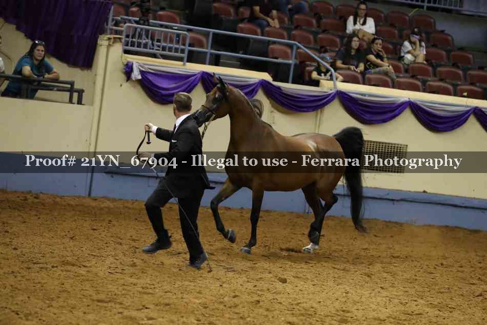 Proof 21YN_67904