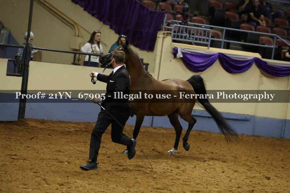 Proof 21YN_67905