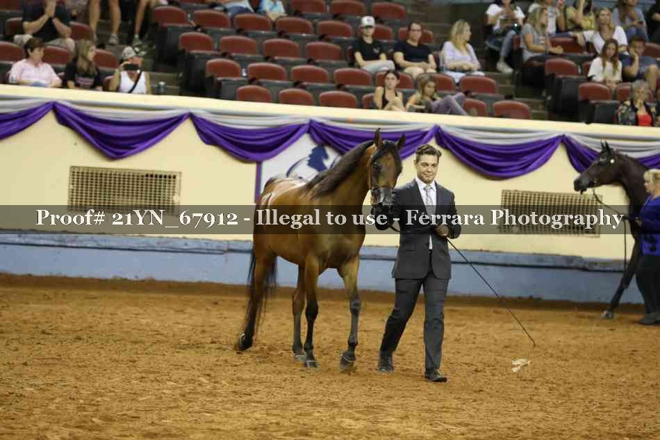 Proof 21YN_67912