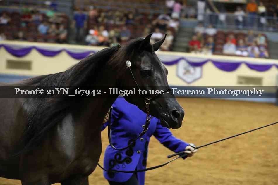 Proof 21YN_67942