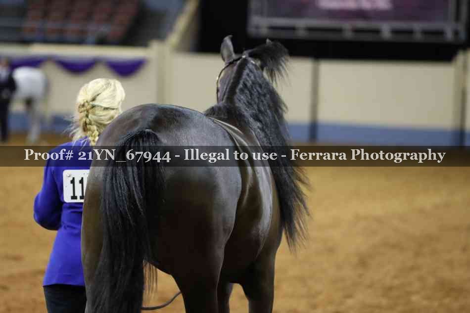 Proof 21YN_67944