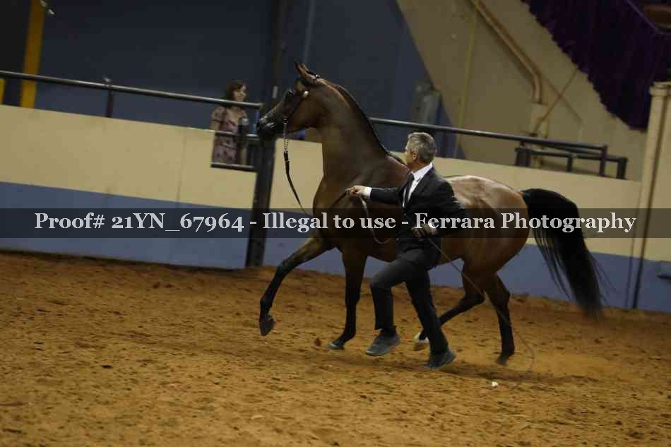 Proof 21YN_67964