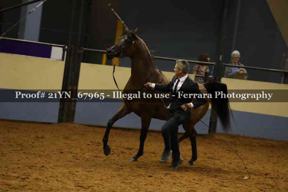 Proof 21YN_67965