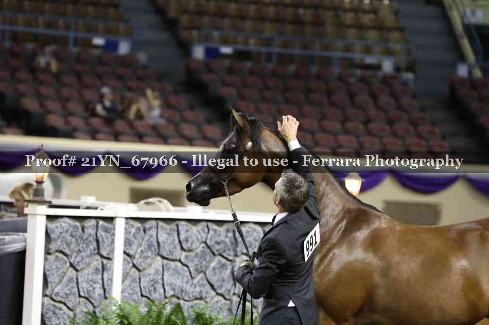 Proof 21YN_67966