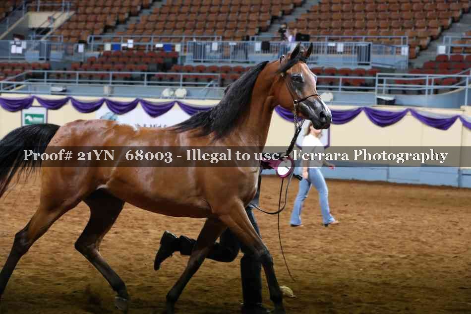 Proof 21YN_68003