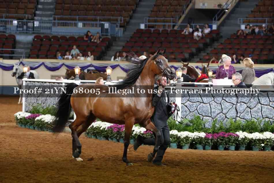 Proof 21YN_68005
