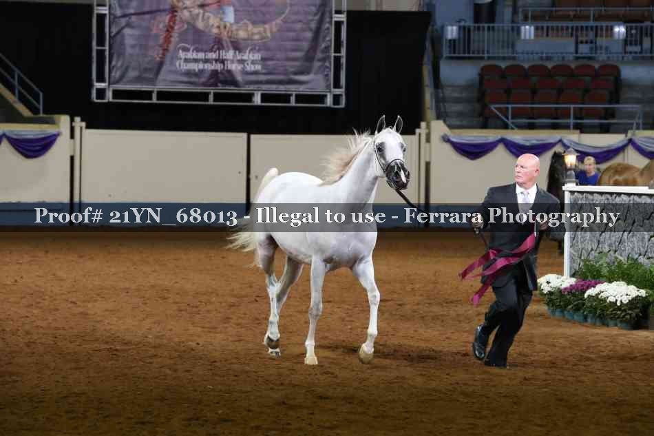 Proof 21YN_68013
