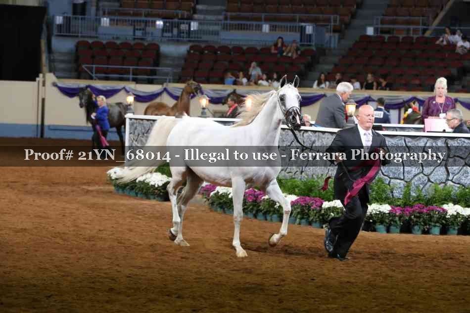 Proof 21YN_68014