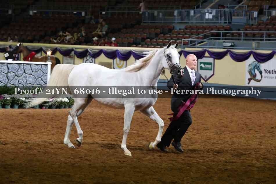 Proof 21YN_68016