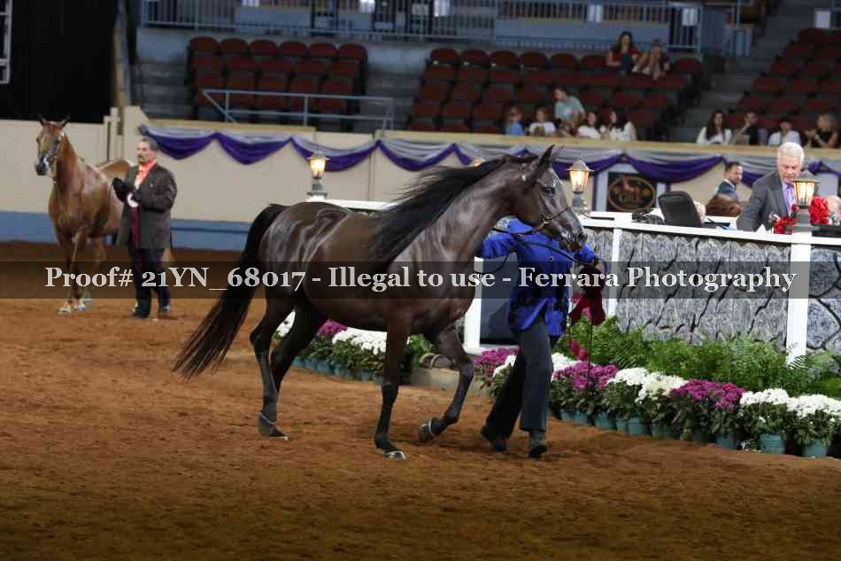 Proof 21YN_68017