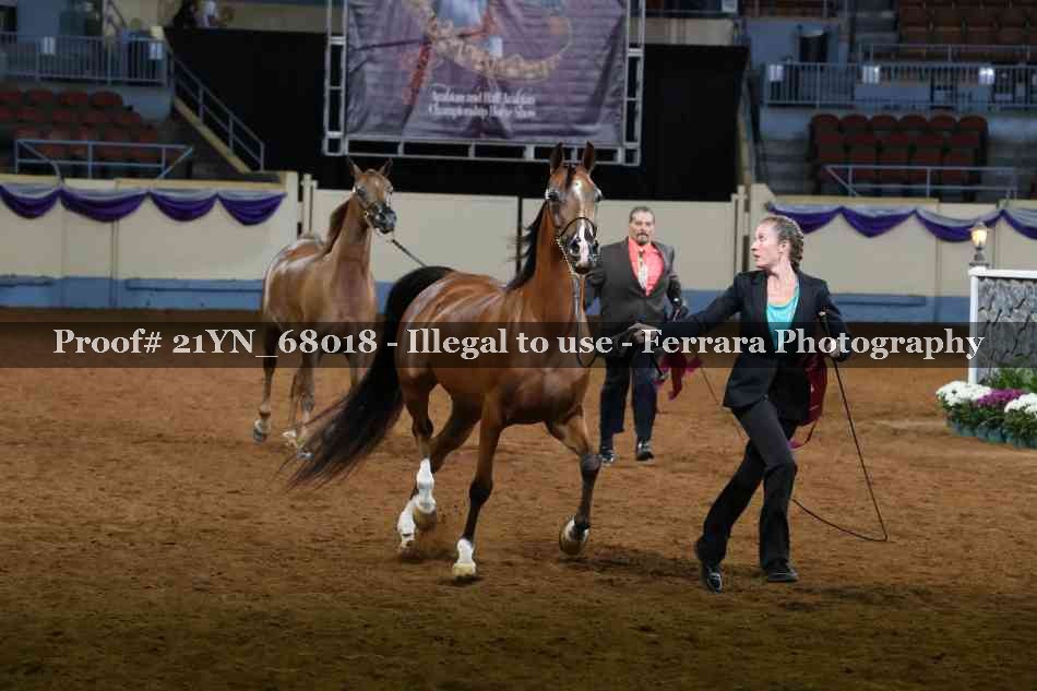 Proof 21YN_68018