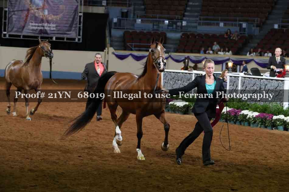 Proof 21YN_68019