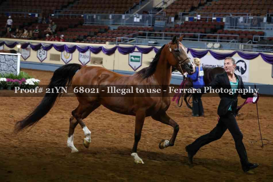 Proof 21YN_68021