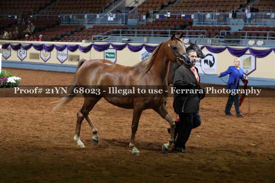 Proof 21YN_68023