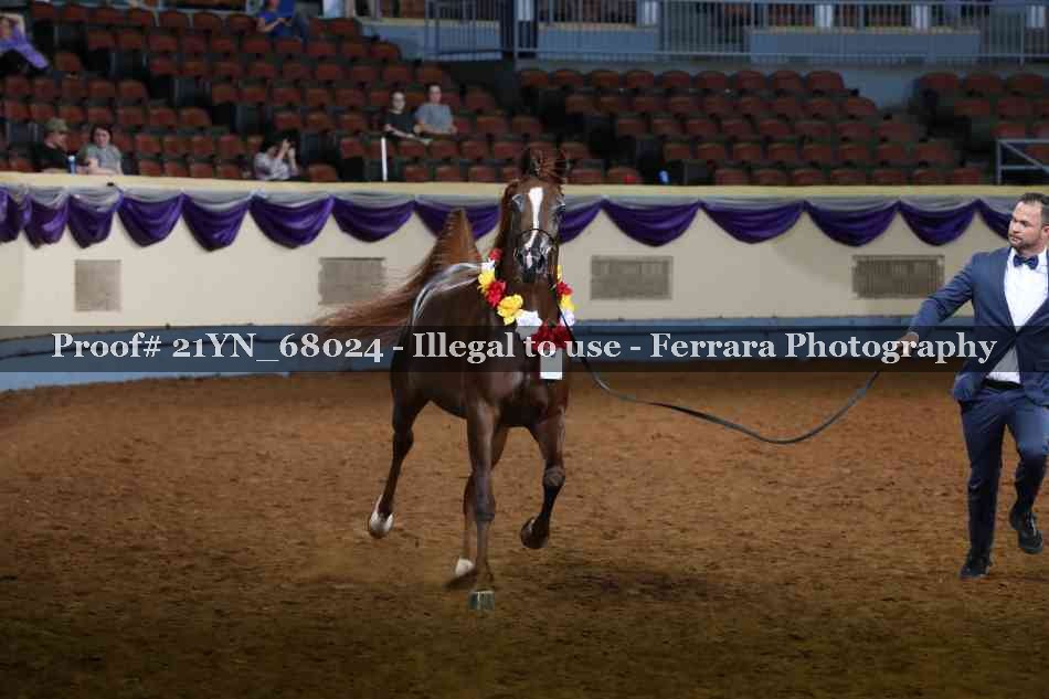 Proof 21YN_68024