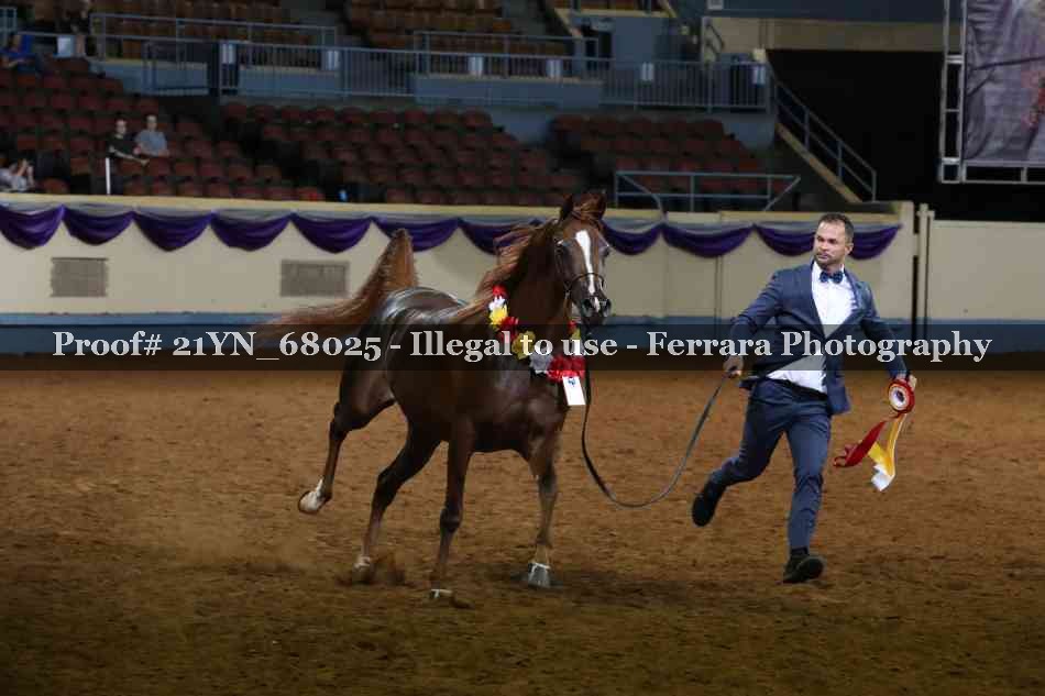 Proof 21YN_68025
