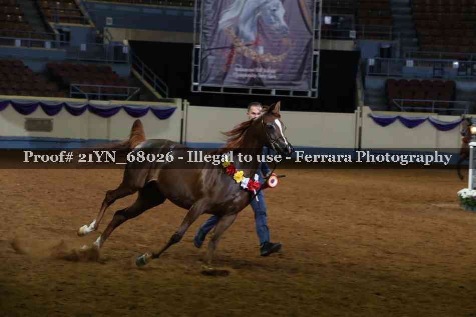Proof 21YN_68026