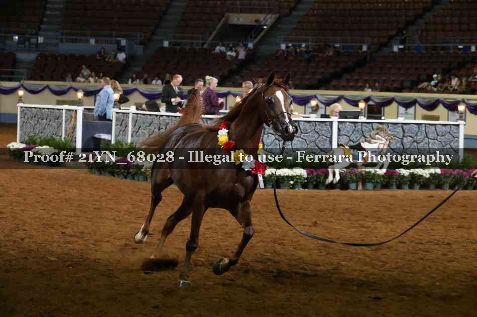 Proof 21YN_68028