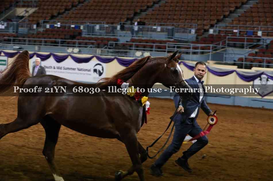 Proof 21YN_68030