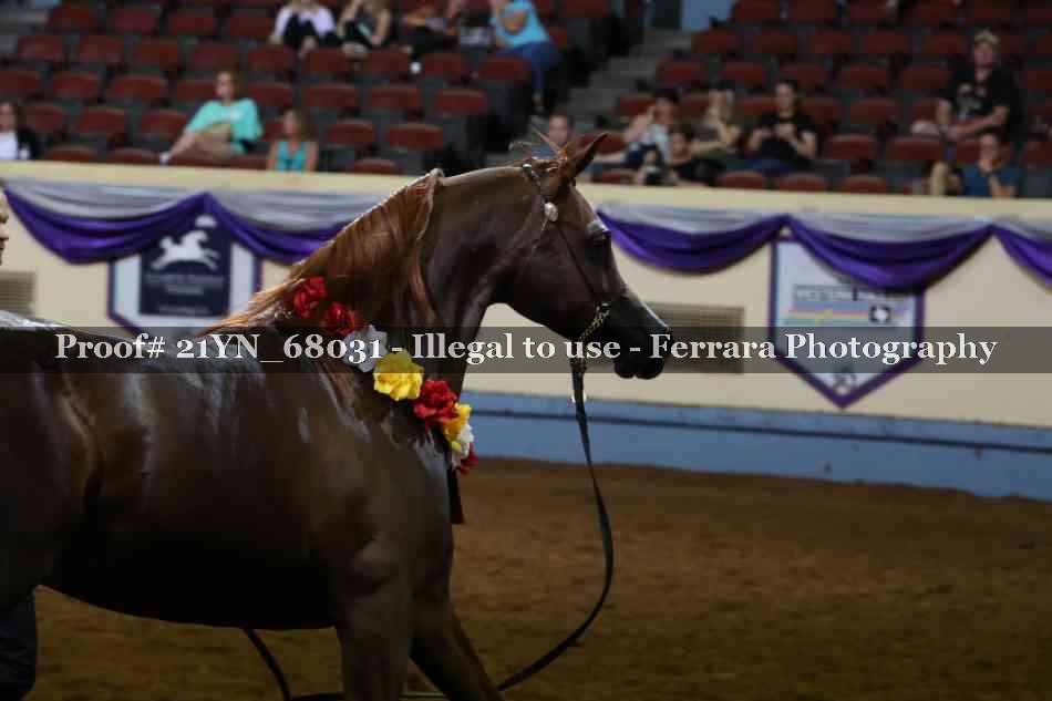Proof 21YN_68031