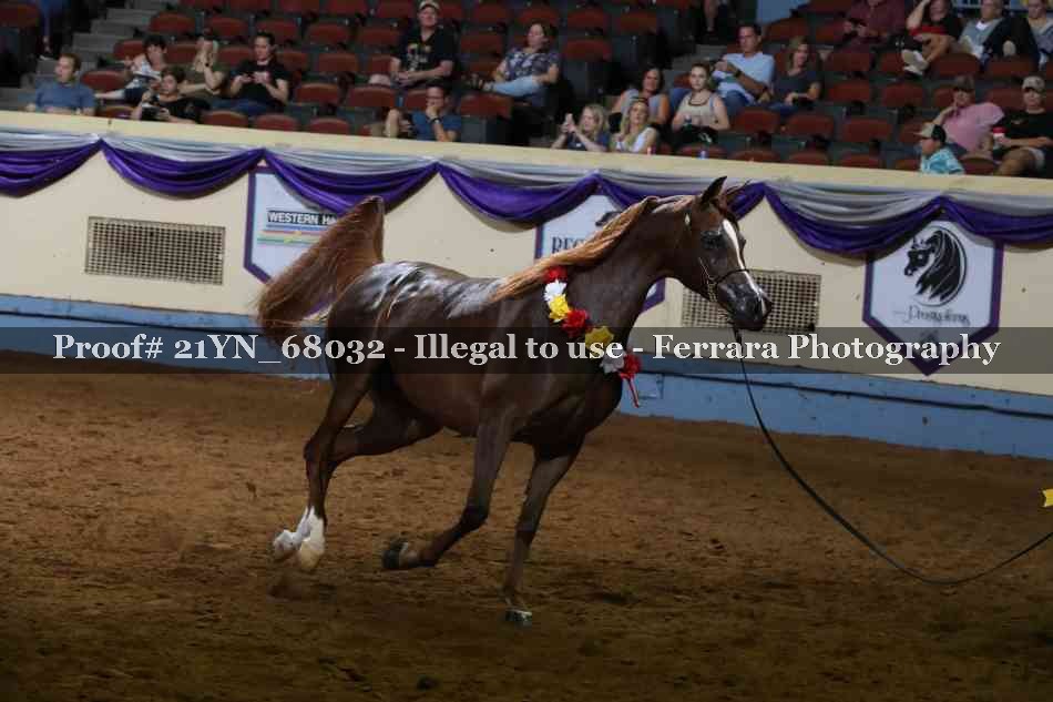 Proof 21YN_68032