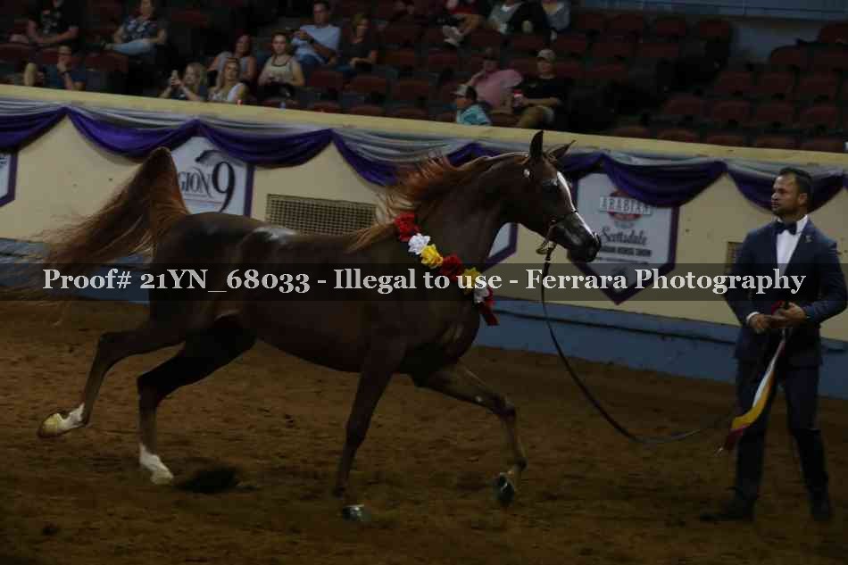 Proof 21YN_68033
