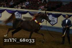 21YN_68033 proof
