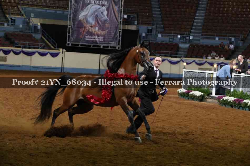 Proof 21YN_68034