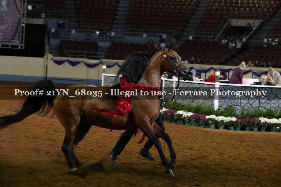 Proof 21YN_68035