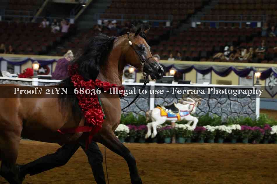 Proof 21YN_68036