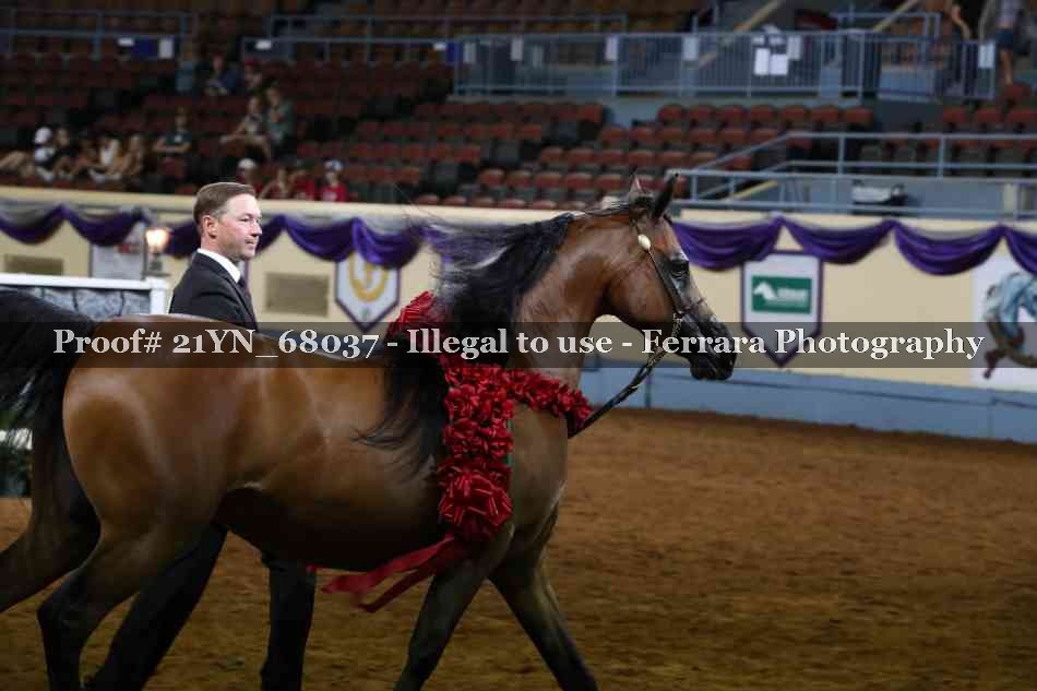 Proof 21YN_68037