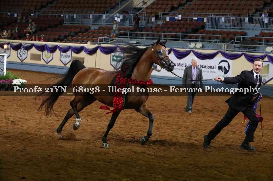 Proof 21YN_68038