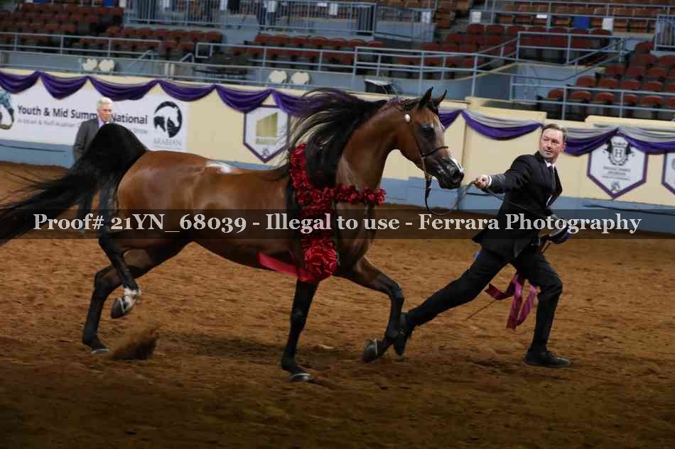 Proof 21YN_68039