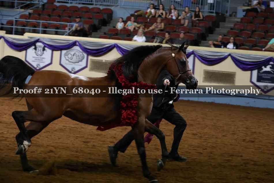 Proof 21YN_68040