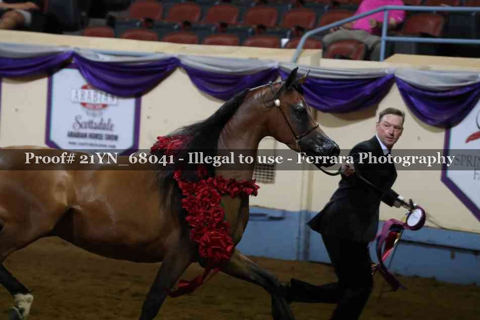 Proof 21YN_68041