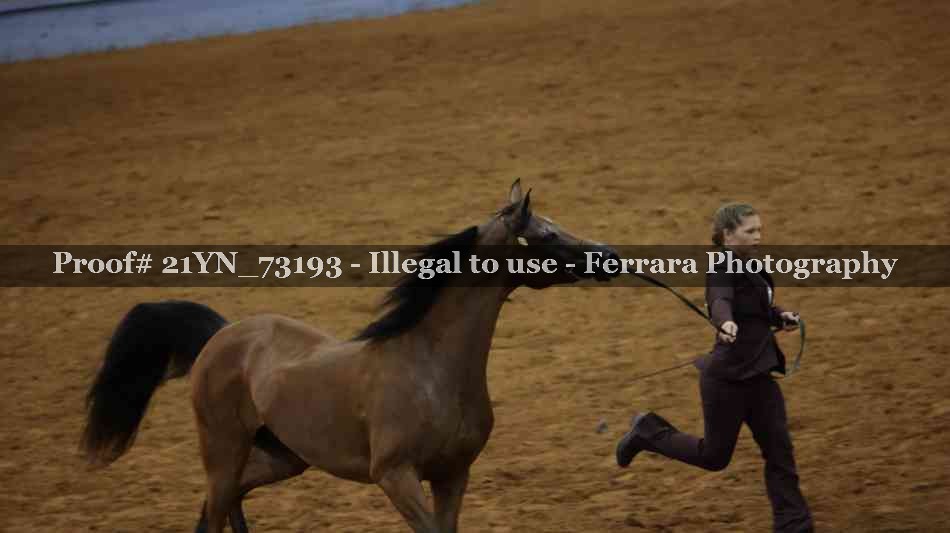 Proof 21YN_73193