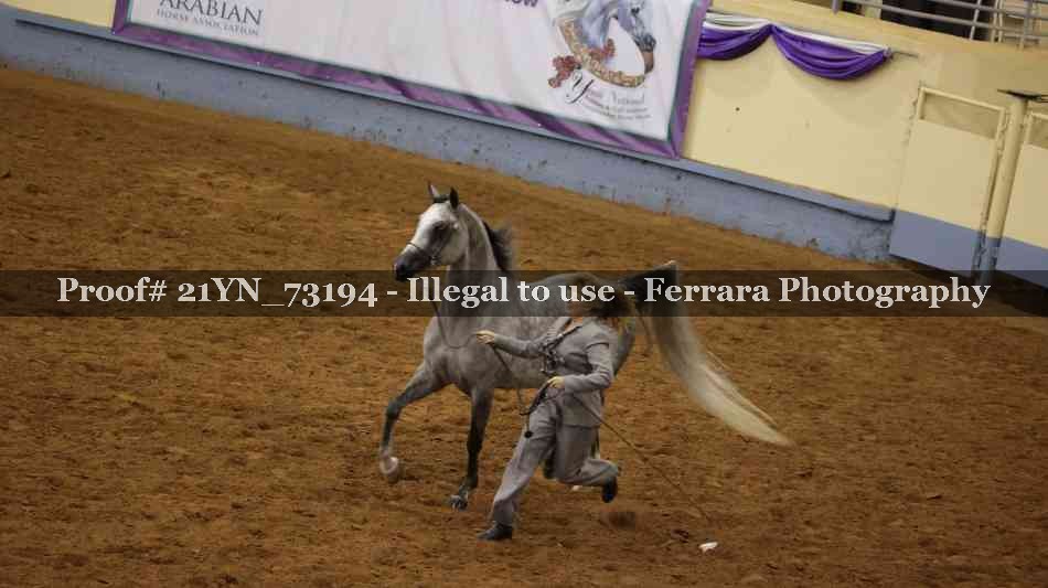 Proof 21YN_73194