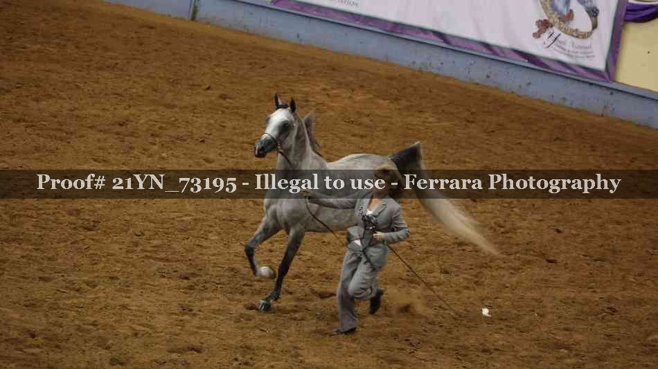 Proof 21YN_73195