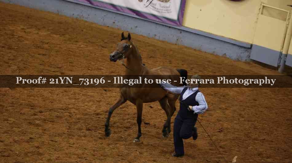 Proof 21YN_73196