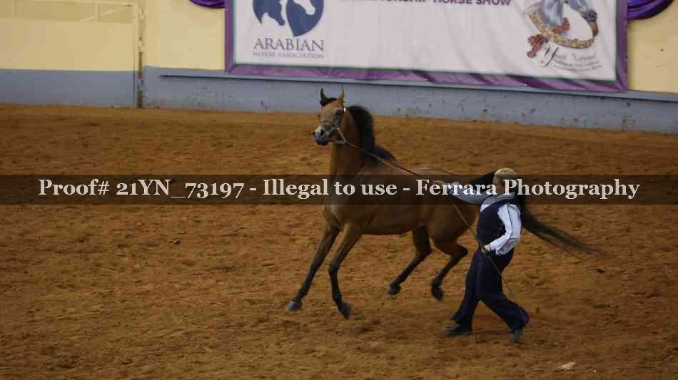 Proof 21YN_73197