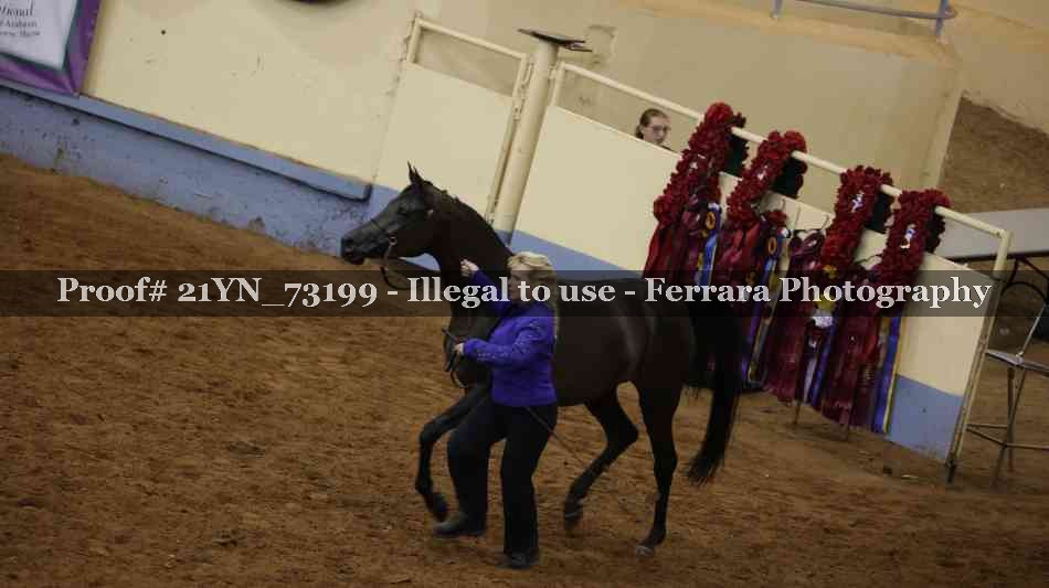 Proof 21YN_73199